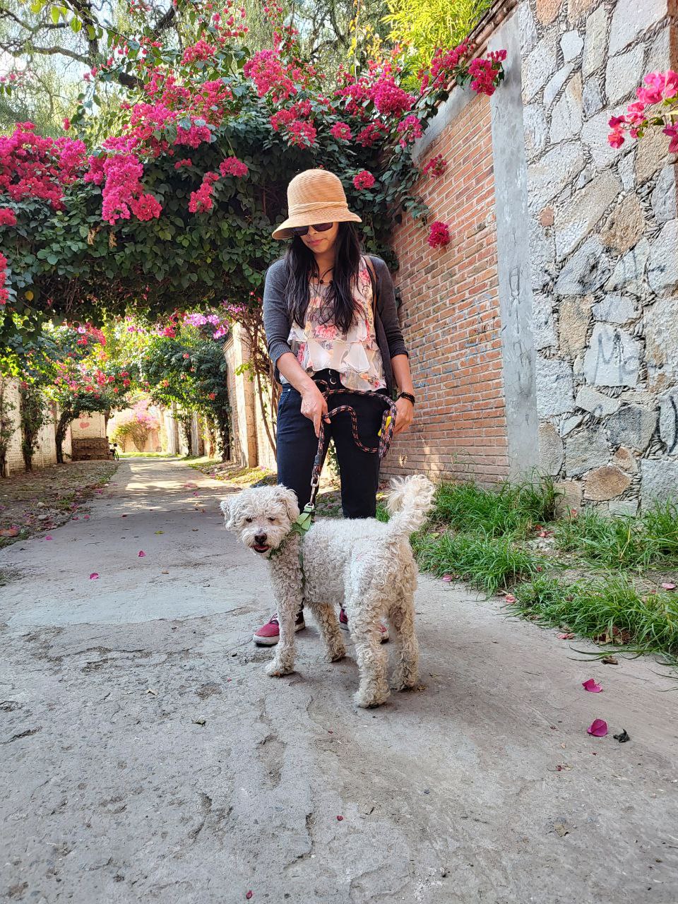 En memoria de Rufino, el perro de la lluvia